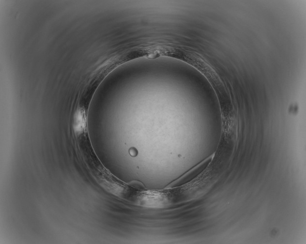 X0000097620095200802291336