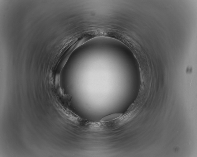 X0000097620096200802291336