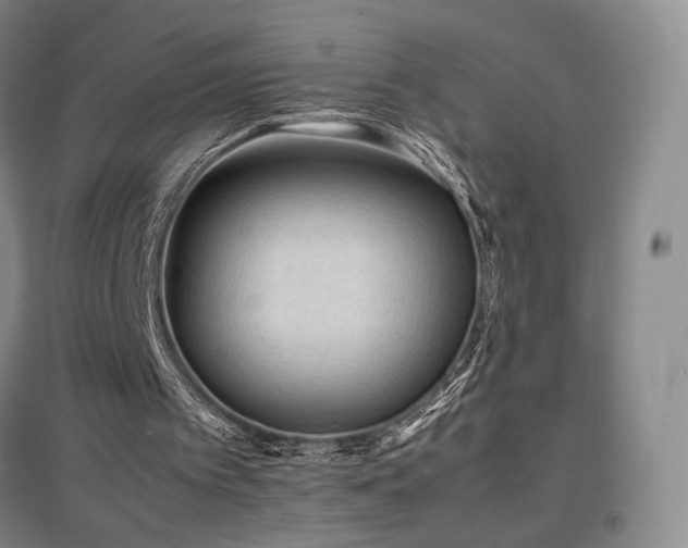 X0000097620097200802291335