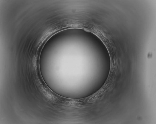 X0000097620098200802291335