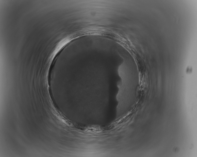 X0000097620099200802291335