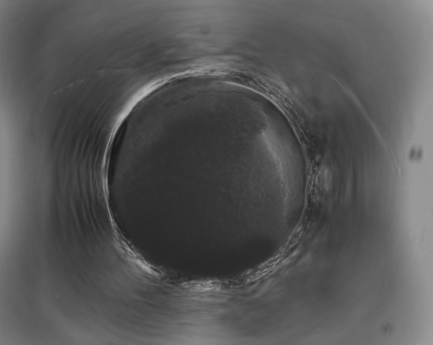 X0000097620100200802291335