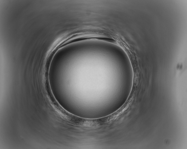 X0000097620101200802291335