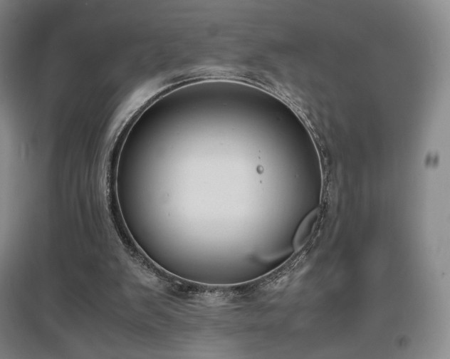 X0000097620103200802291335