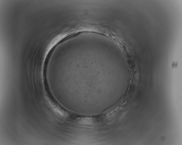 X0000097620104200802291335