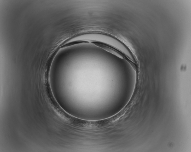 X0000097620105200802291335