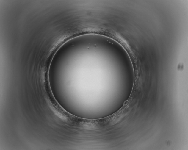 X0000097620106200802291335