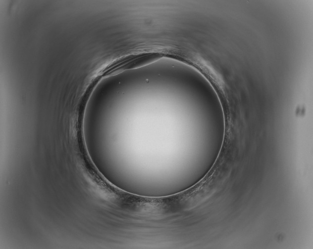X0000097620107200802291335