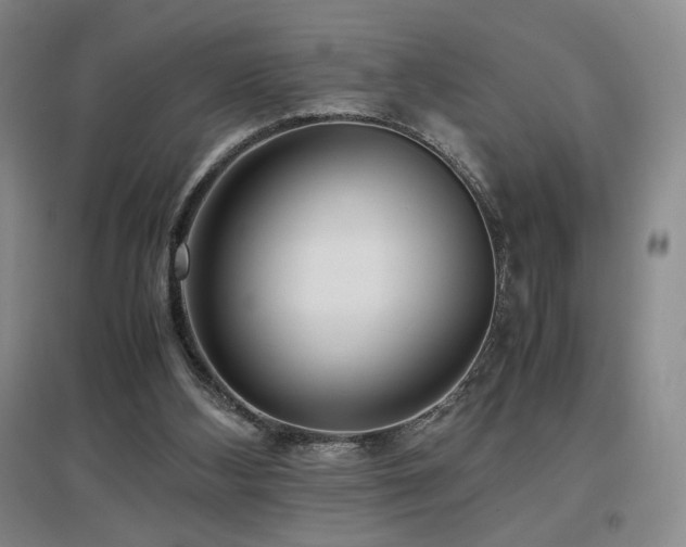X0000097620108200802291335