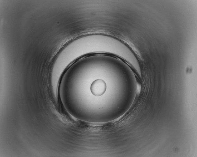 X0000097620110200802291335