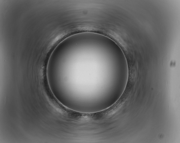 X0000097620111200802291335