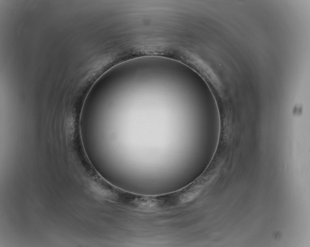 X0000097620113200802291335