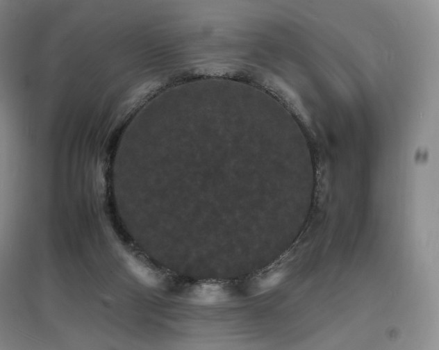 X0000097620114200802291335