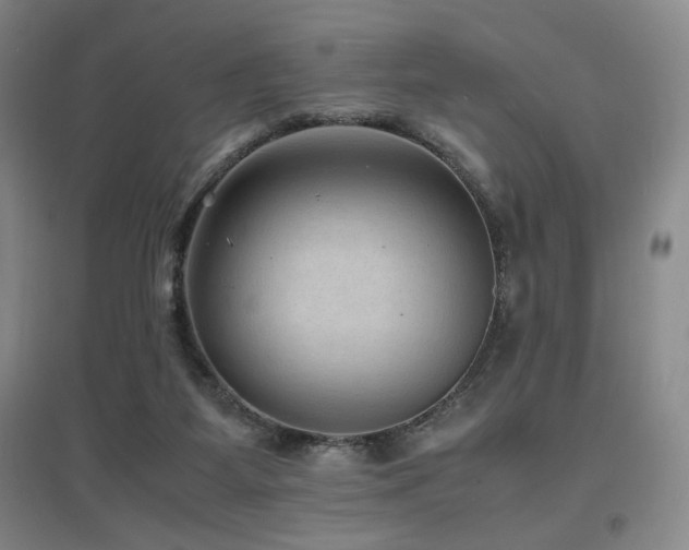 X0000097620115200802291335