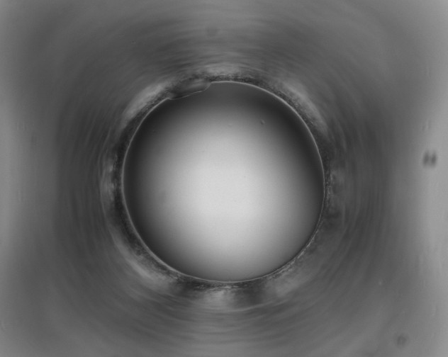 X0000097620116200802291335
