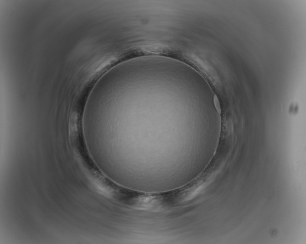 X0000097620117200802291335