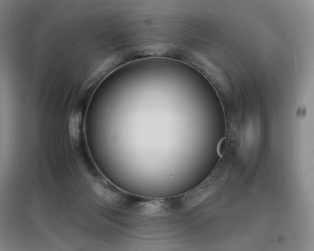 X0000097620118200802291335