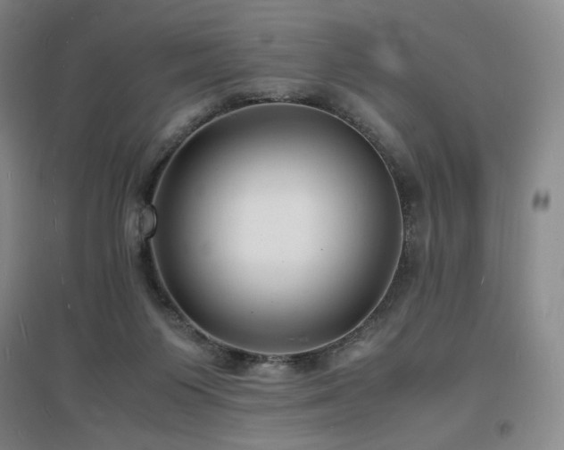 X0000097620119200802291335