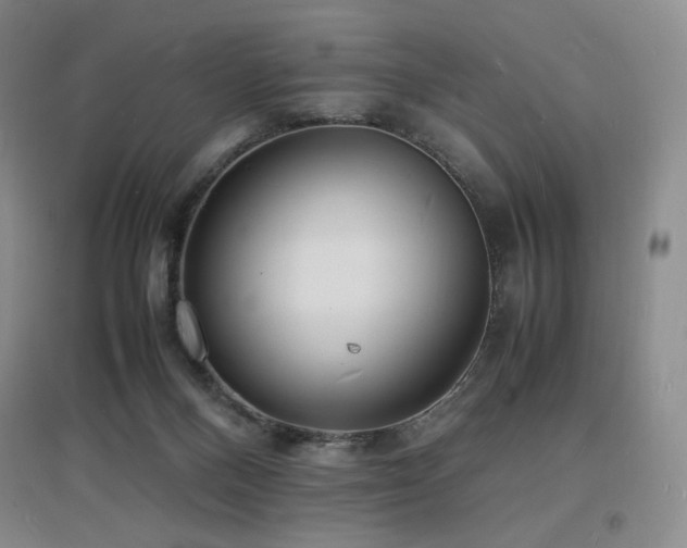 X0000097620120200802291335