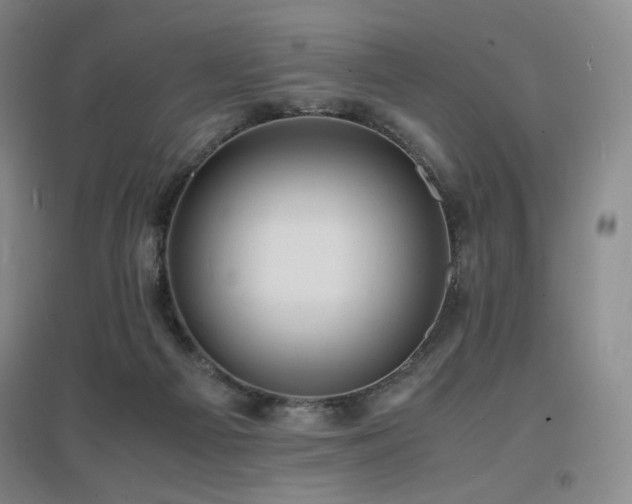 X0000097620121200802291335
