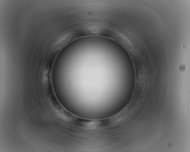 X0000097620122200802291335