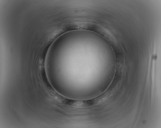 X0000097620123200802291335