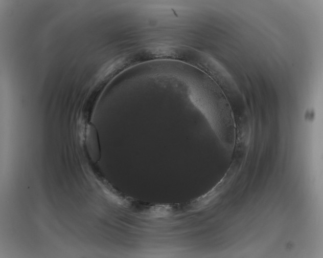 X0000097620124200802291335