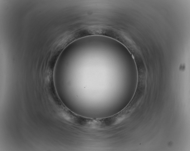 X0000097620125200802291335