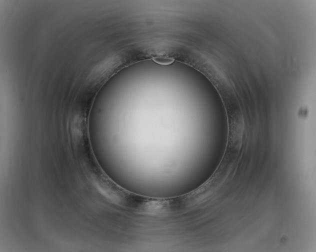 X0000097620126200802291335