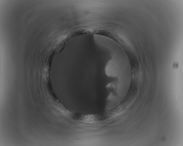 X0000097620127200802291335