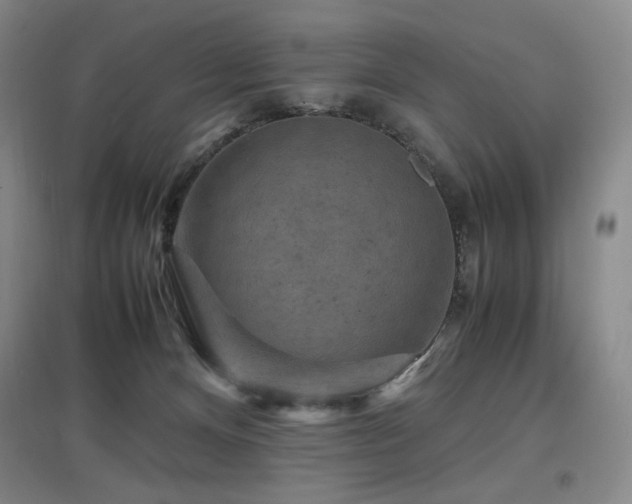X0000097620128200802291335