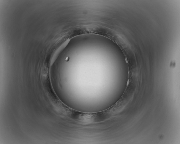 X0000097620129200802291335