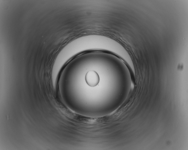 X0000097620130200802291335