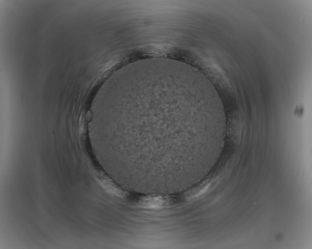 X0000097620131200802291335