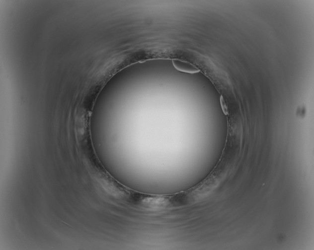 X0000097620133200802291335