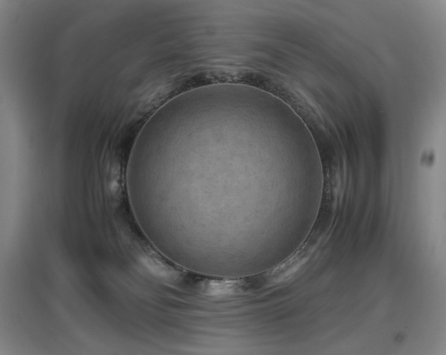 X0000097620134200802291335