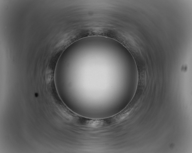 X0000097620135200802291335