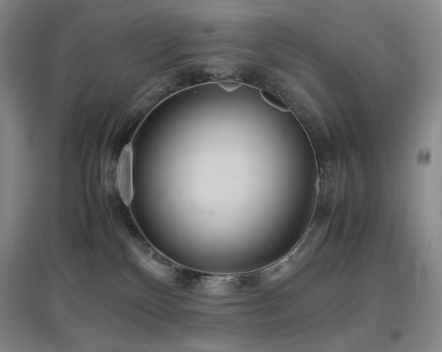 X0000097620136200802291335