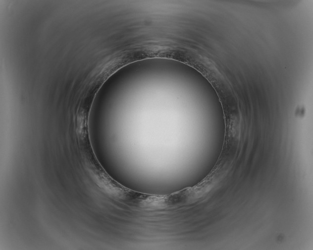 X0000097620138200802291335