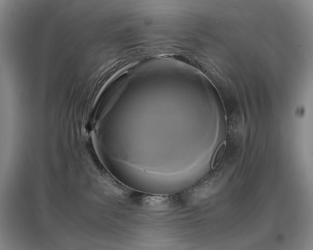 X0000097620139200802291335