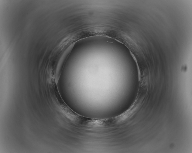 X0000097620140200802291335