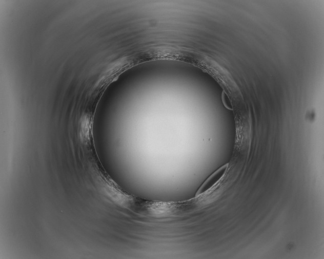 X0000097620142200802291335