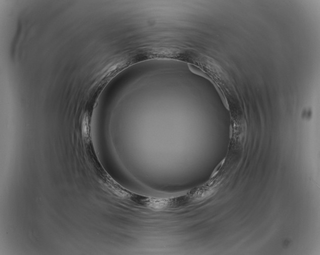 X0000097620143200802291335