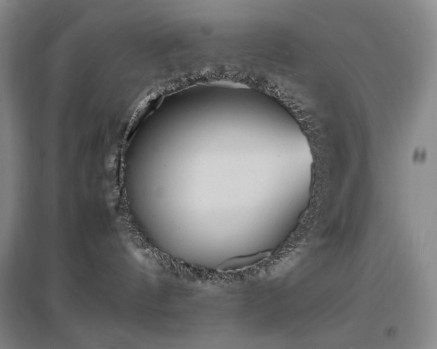 X0000097620144200802291335