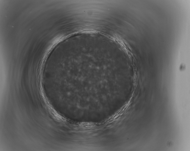 X0000097620145200802291334