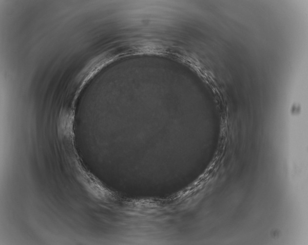 X0000097620146200802291334