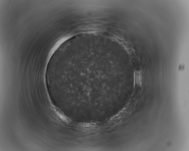 X0000097620147200802291334