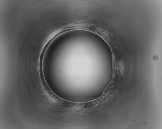 X0000097620148200802291334