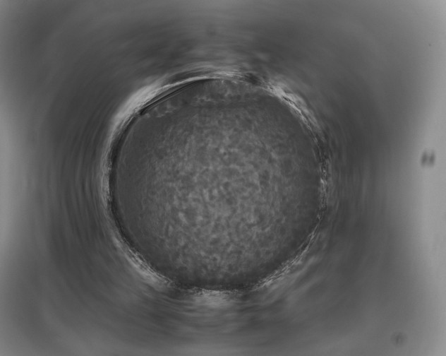 X0000097620149200802291334
