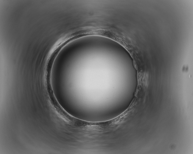 X0000097620150200802291334